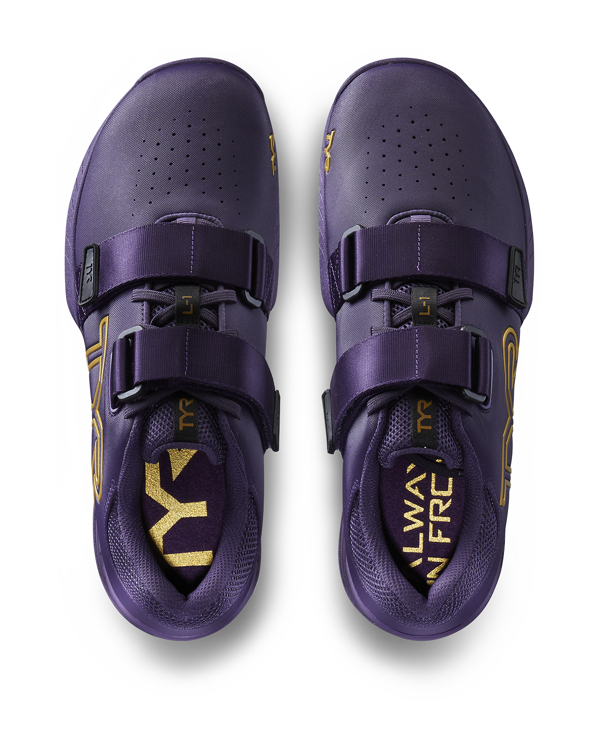 ::714 Purple/Gold