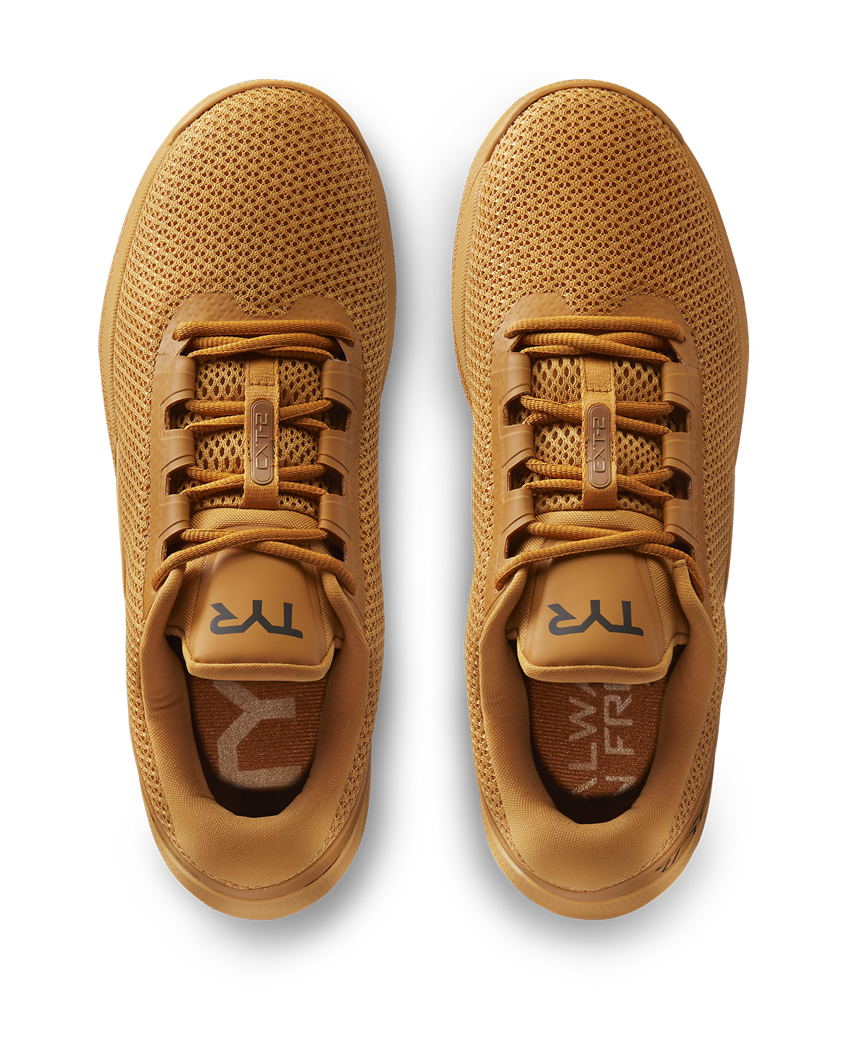 Product image for 261 Camel